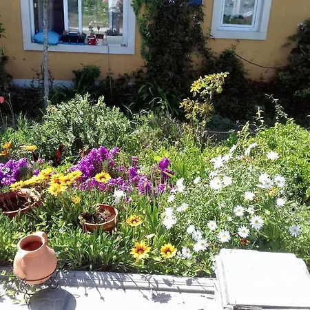 Comfortable House In Nazare, With Shared Pool Nazaré